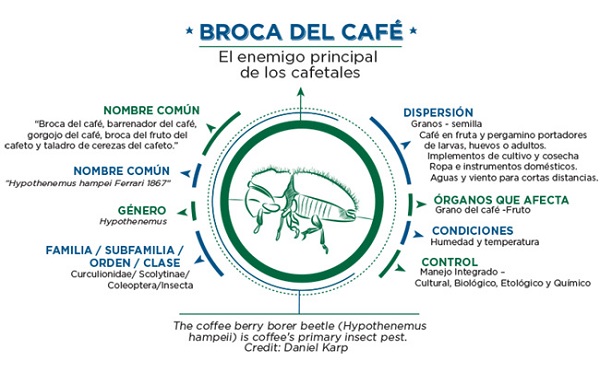 bdceepdlc1